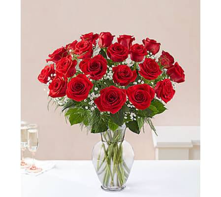 Red Roses Two Dozen
