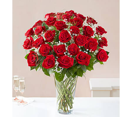 Red Roses Three Dozen