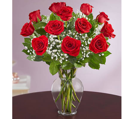 Red Roses 1 Dozen