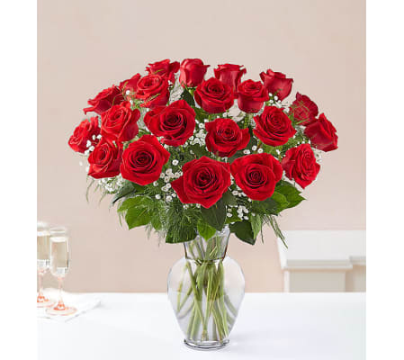 Red Roses 2 Dozen