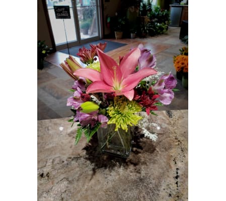 Color Craze of Flowers
