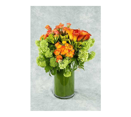 CLUSTERED ARRANGEMENT