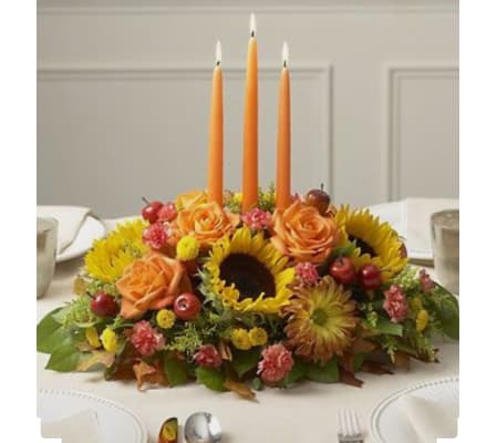 Fall Frenzy