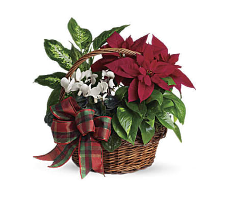 Holiday Homecoming Garden