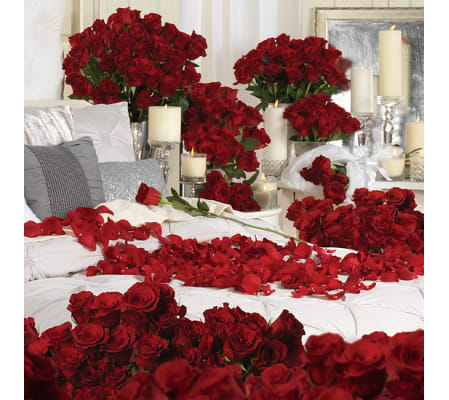 1000 Roses With Extras