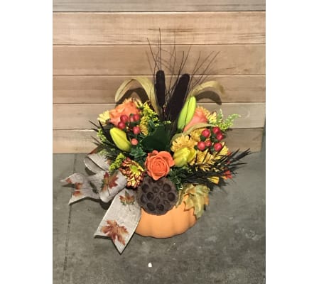 Thanksgiving Pumpkin