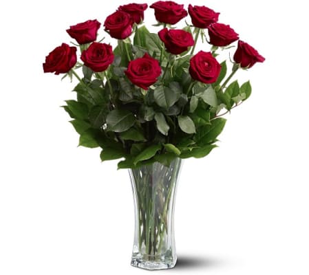 A Beautiful Dozen Premium Red Roses