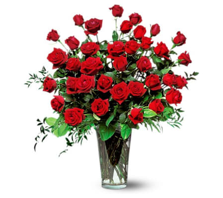 Three Dozen Beautiful Red Roses