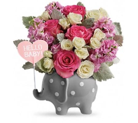 Sweet Baby Elephant-PINK