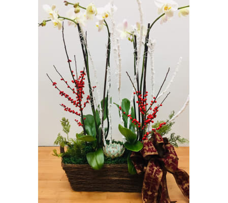 Christmas Orchid Garden