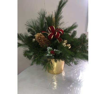 FRESH PINE GARLAND IN GOLD POT