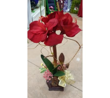 Single Silk Amaryllis