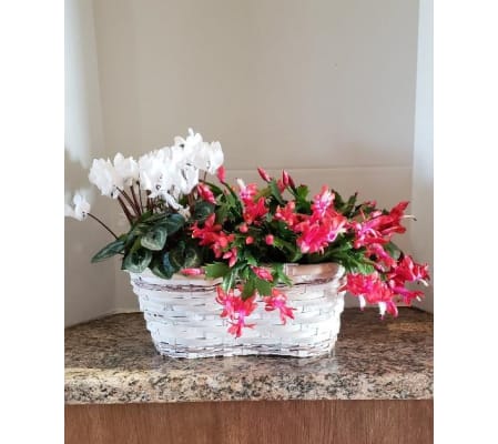 Holiday Christmas Basket