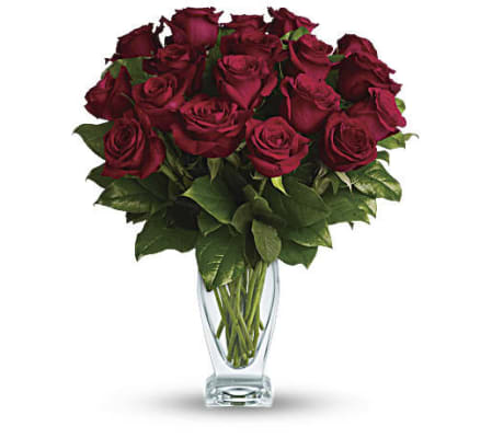 Red Rose Classique