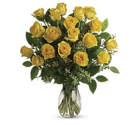 Say Yellow Rose Classique