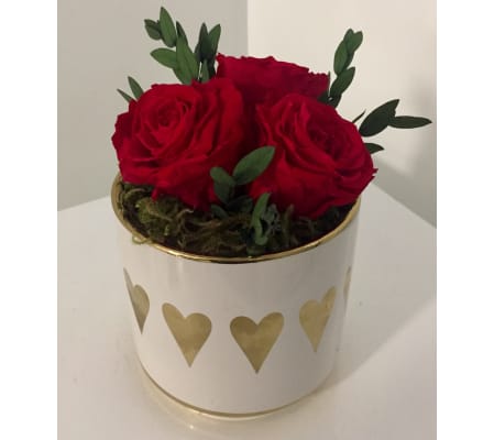 Preserved Rose Arrangement Red