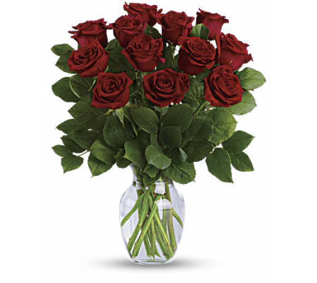 Delicate Roses