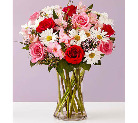 Sweet Valentine My Valentine
