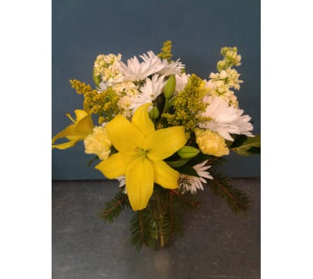 Mellow Yellow in Winter