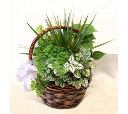emerald green basket