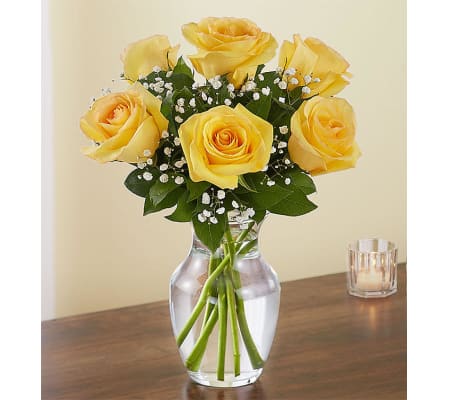 6 YELLOW ROSES