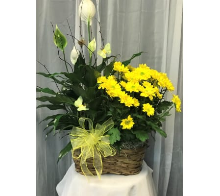 Ellington's Double Basket - Plants/Colors Vary