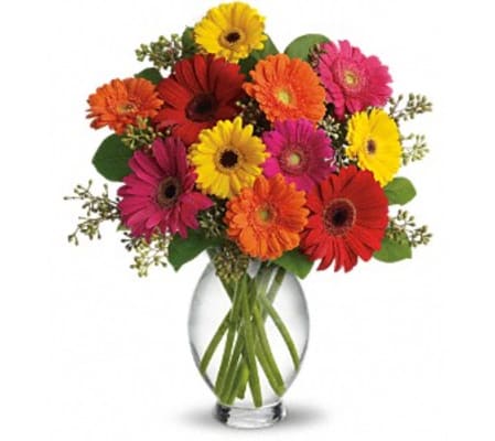 Teleflora Gerbera Brights