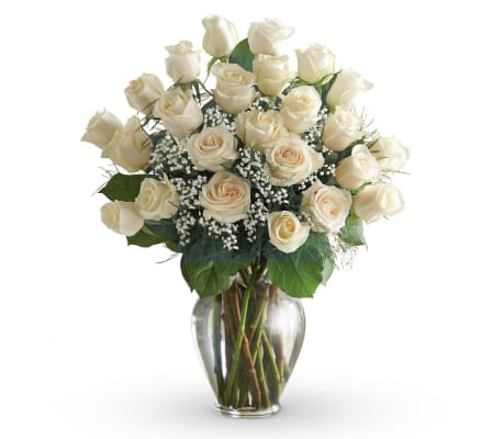 24 WHITE ROSES ARRANGED