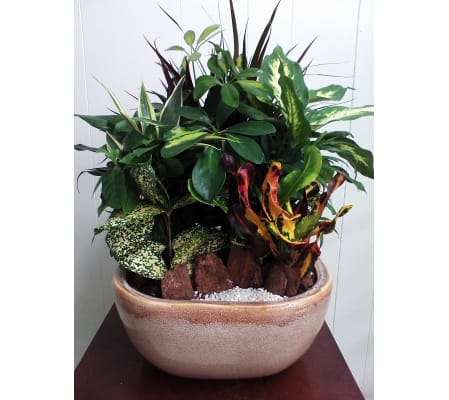 Emerald Ceramic Garden