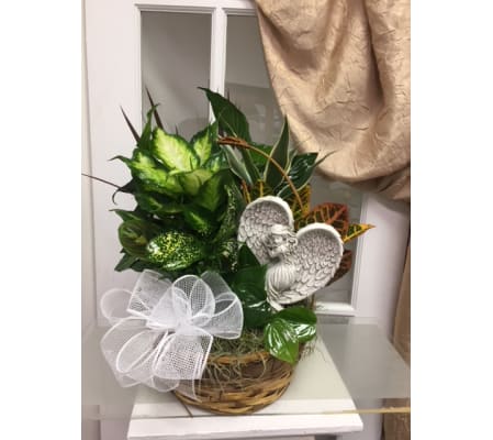 Dish Garden With A Sleeping Angel