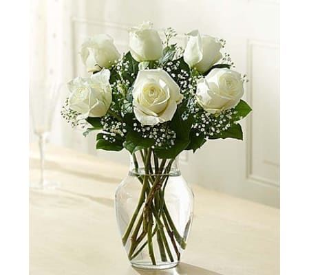 6 WHITE ROSES