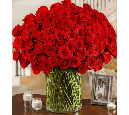 100 Red Roses in vase