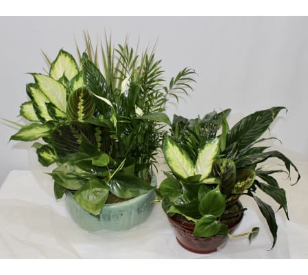 Garden Planter