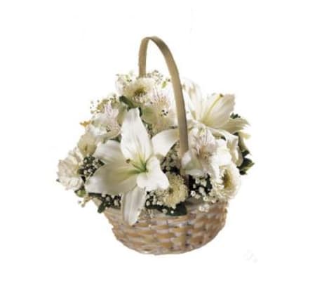 white basket of warmth