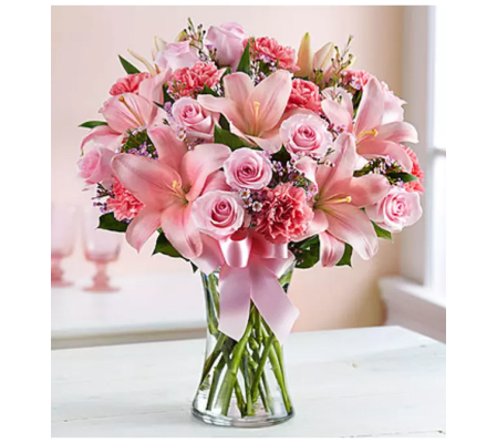 Expression of Pinks
