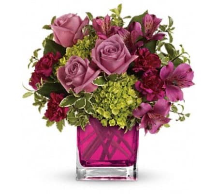 Splendid Surprise by Jennifer's