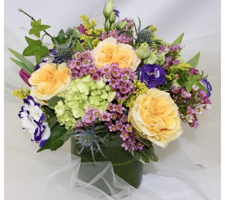 Lovely Hydrangea