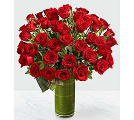The Fate Luxury Rose 48 Roses