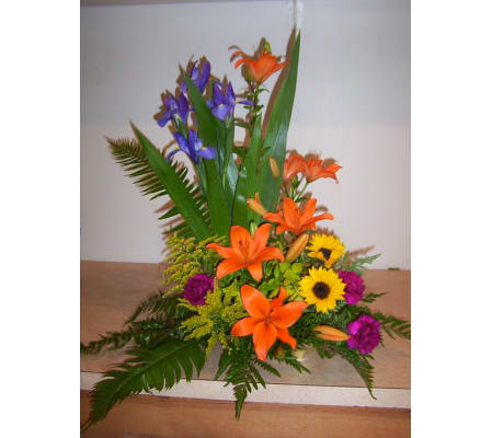 Vibrant Delights