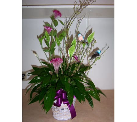 Decorated Peace Lily