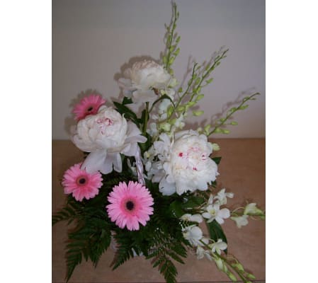 Peony Power