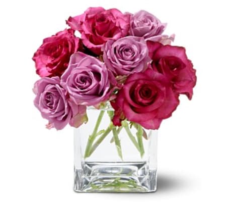 Teleflora Wild Plum Roses