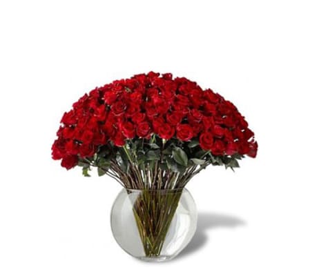 100 Red Roses 2020
