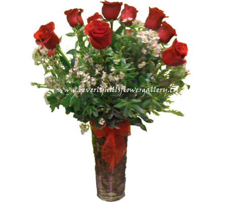 Dz. Long Stem Red Roses