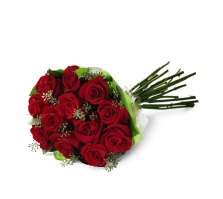 Dz. Wrapped Premium Red Roses