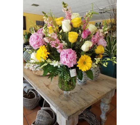 ROSES OF SPRINGTIME