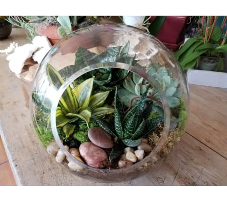 BIOSPHERE
