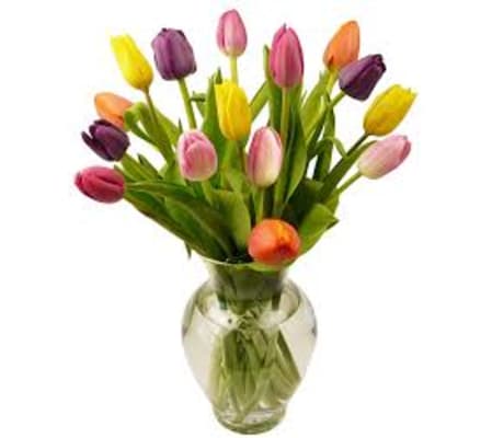 Tulips Galore