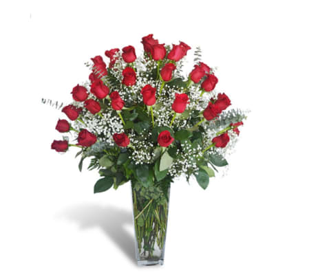 24 Rose Kisses