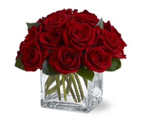 2 Dozen Contempo